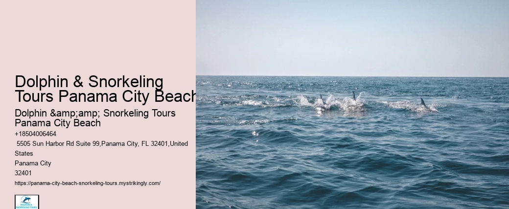 Where Can I Find Sand Dollars In Panama City Beach Beach