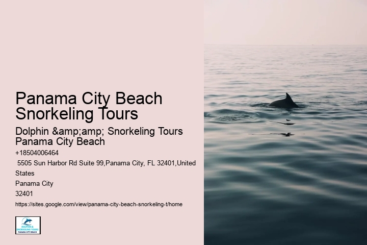Panama City Beach Snorkeling Tours