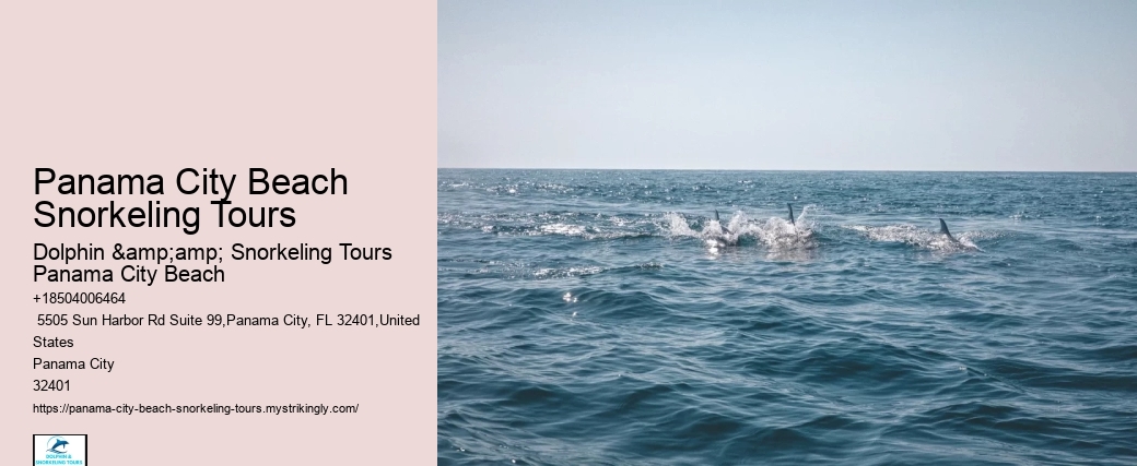 Panama City Beach Snorkeling Tours 020