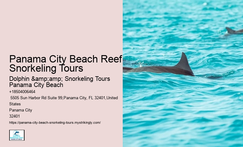 Panama City Beach Snorkel Exploration Adventures