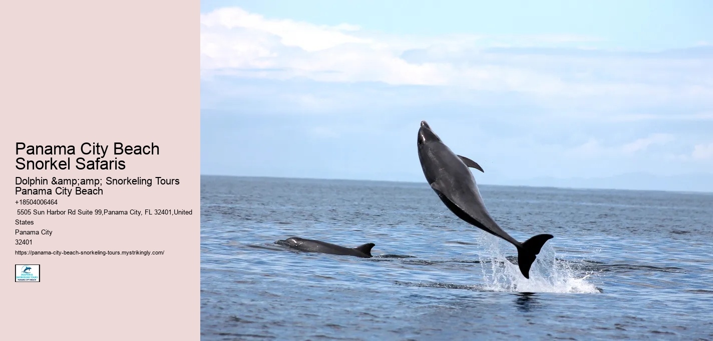 Panama City Beach Snorkel Safaris