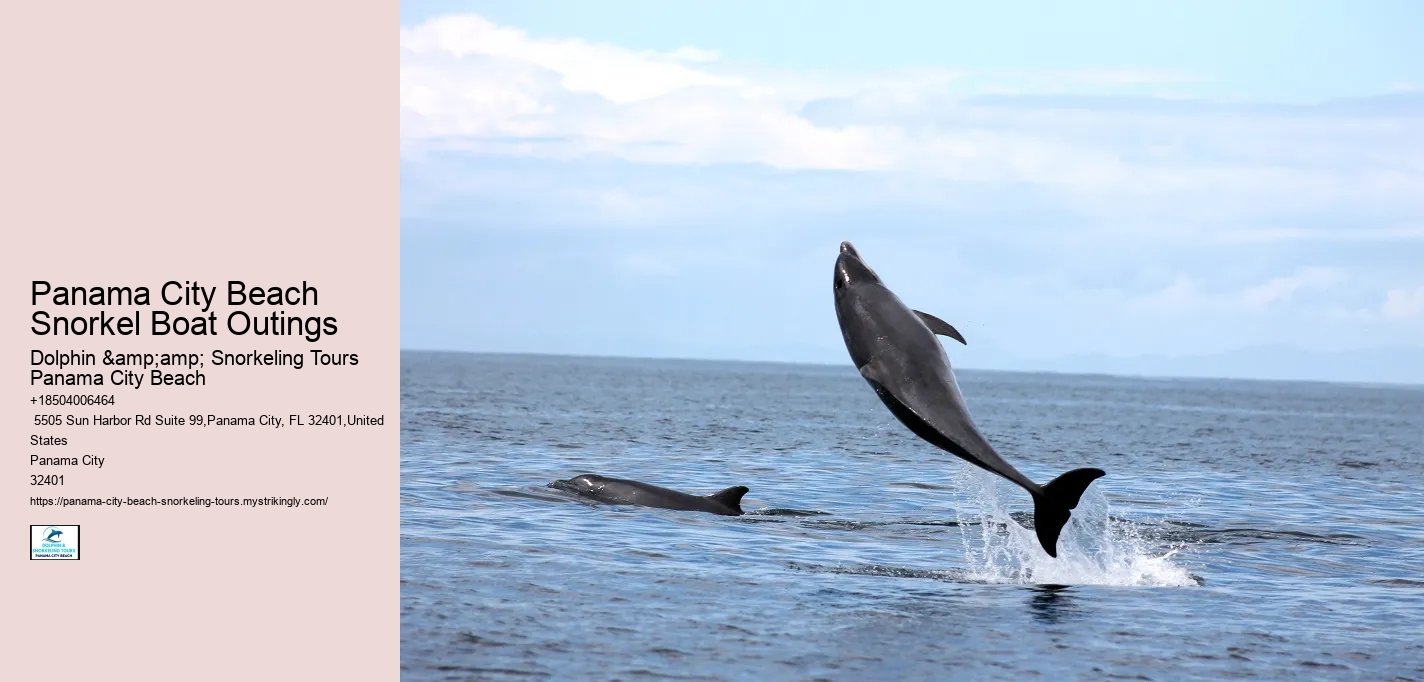 Panama City Beach Snorkel Boat Outings