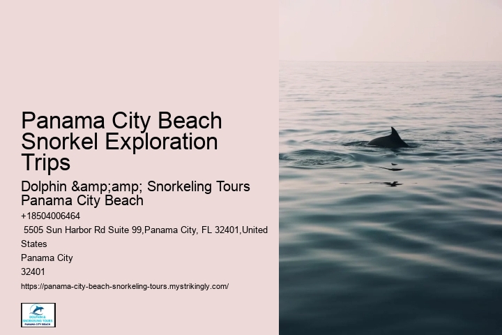 Panama City Beach Snorkel Exploration Trips