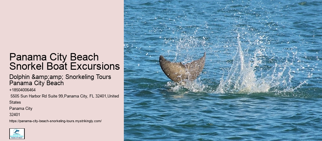 Panama City Beach Snorkel Boat Excursions