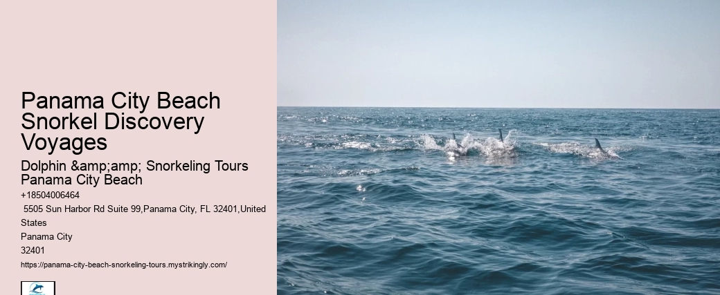 Panama City Beach Snorkel Discovery Voyages