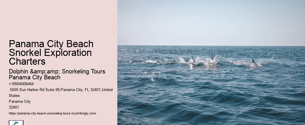 Panama City Beach Snorkel Exploration Charters