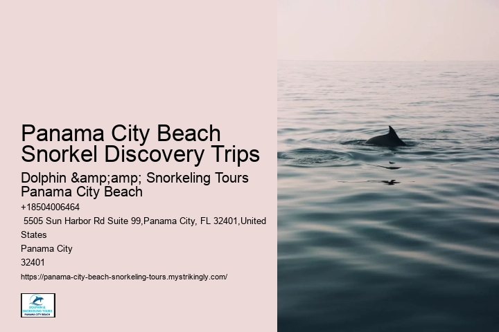 Panama City Beach Snorkel Discovery Trips