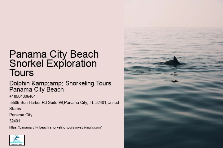 Panama City Beach Snorkel Exploration Tours