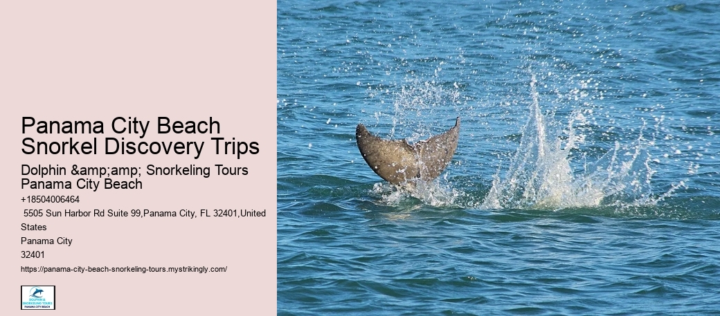 Panama City Beach Snorkel Discovery Trips