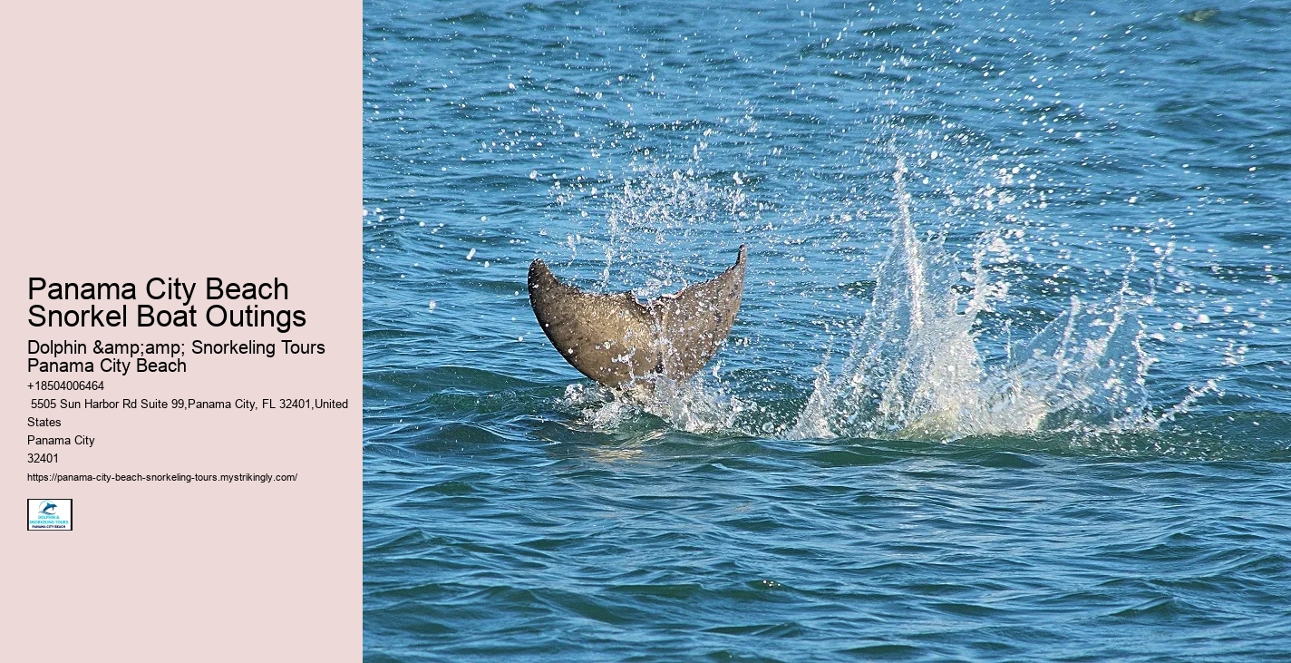 Snorkeling Escapades At Panama City Beach