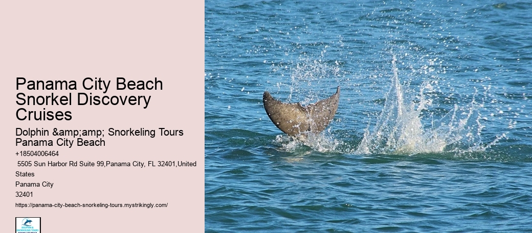 Panama City Beach Snorkeling Tours 9/11