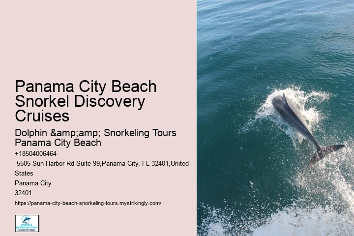 Panama City Beach Snorkeling Tours September