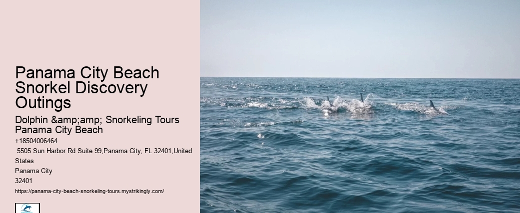 Snorkeling Escapades Departing From Panama City Beach