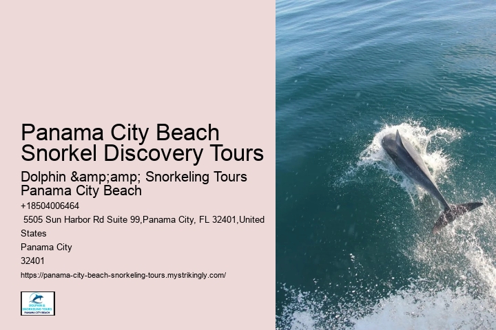 Panama City Beach Snorkeling Tours Lakewood Ranch