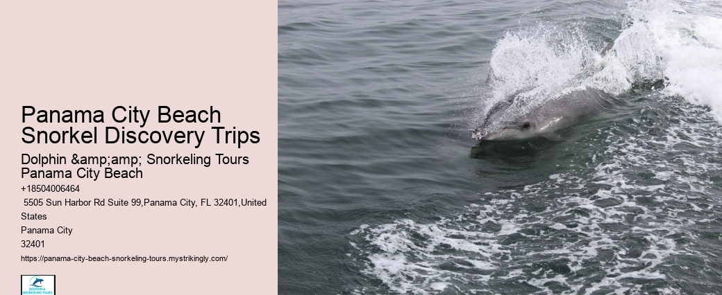 Panama City Beach Snorkeling Tours Vacations