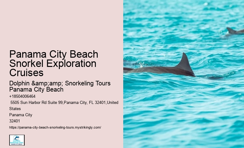 Snorkeling Trips Departing From Panama City Beach
