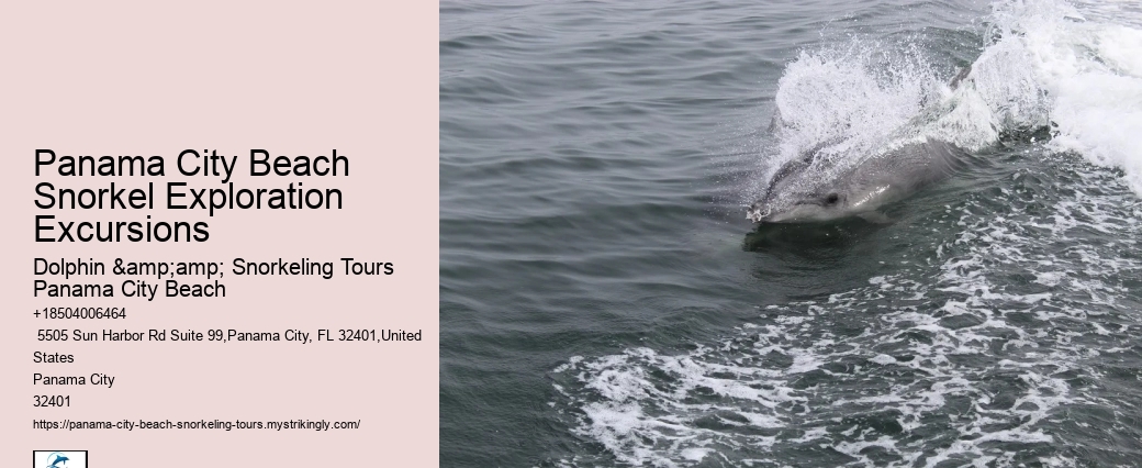 Can You Take Seashells On A Plane From Florida