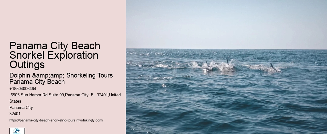 Snorkeling Tours From Panama City Beach