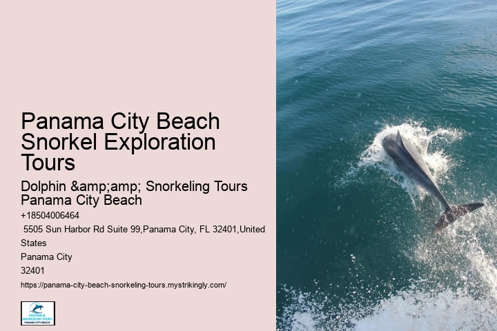 Where Is The Most Crystal Clear Water In Florida