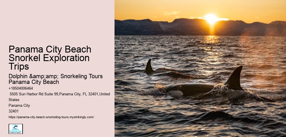 Panama City Beach Snorkel Boat Excursions