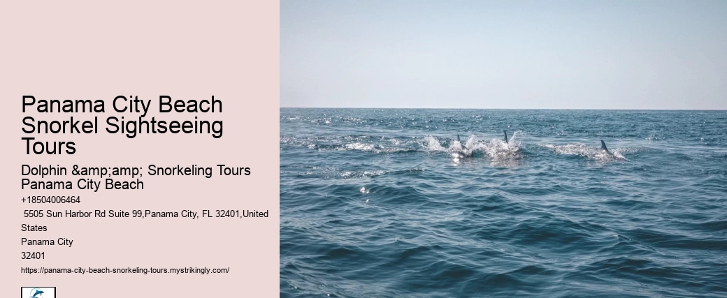 Panama City Dolphin Seafari Tours: Dolphin & Snorkeling