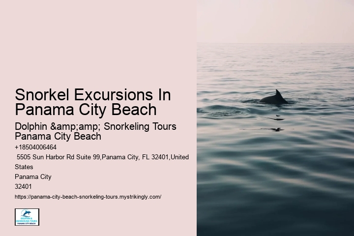 Snorkel Excursions In Panama City Beach