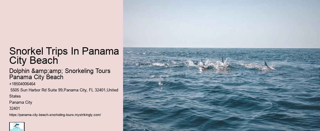 Snorkel Trips In Panama City Beach