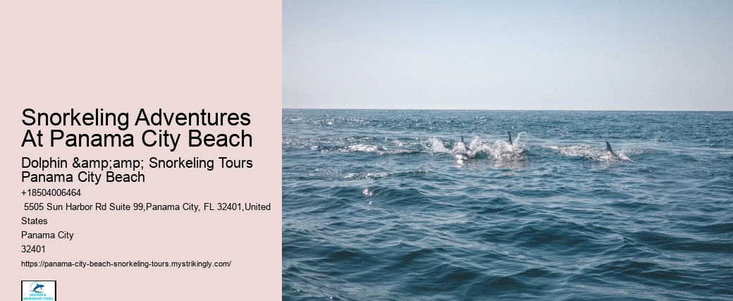 Panama City Beach Snorkeling Tours Junior