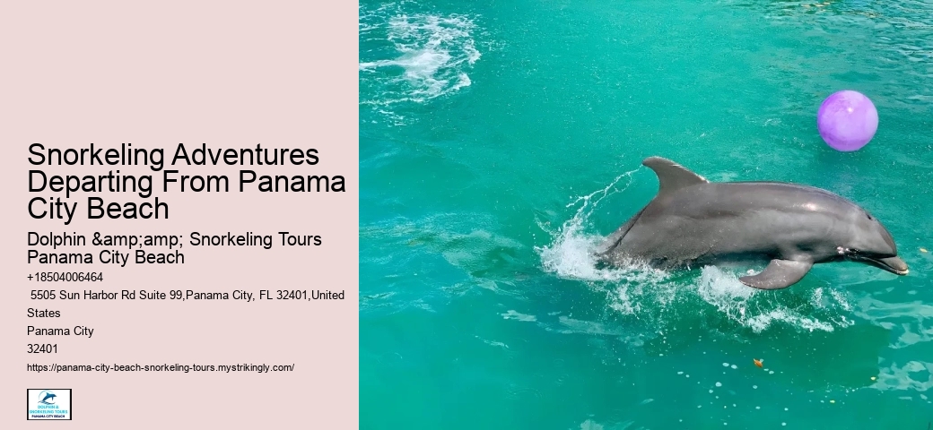 Are Panama City Beach Snorkeling Tours Available Year-round