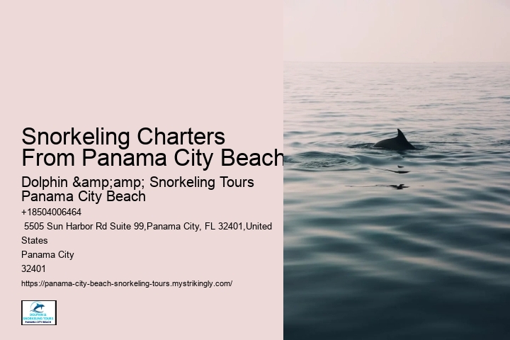 Snorkeling Charters From Panama City Beach