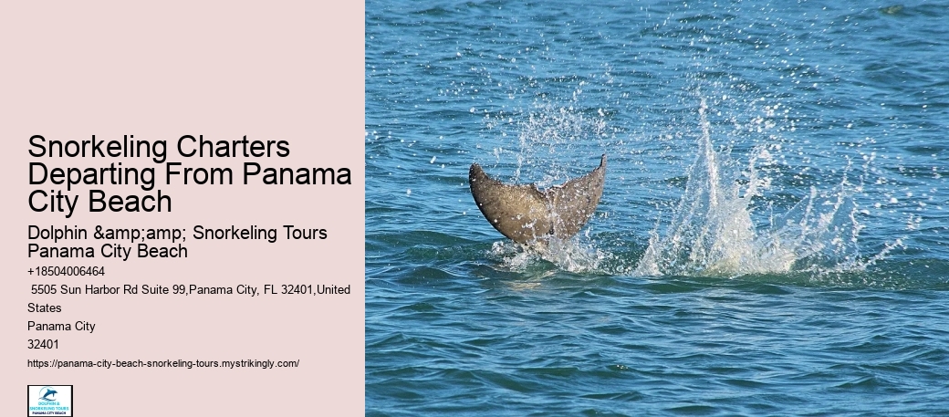 Snorkeling Charters Departing From Panama City Beach