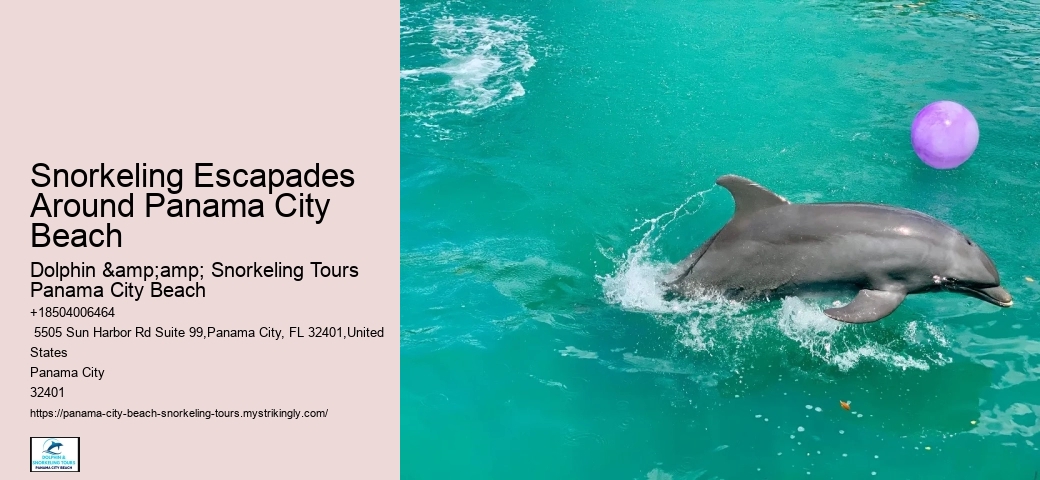 Panama City Beach Snorkeling Tours Aruba