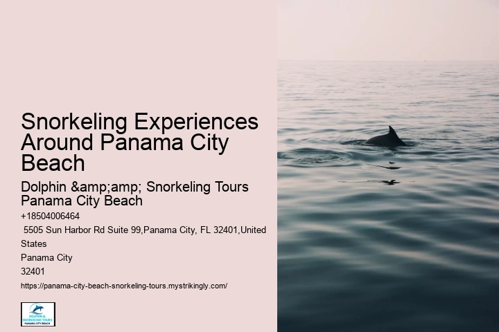 Snorkeling Experiences Around Panama City Beach