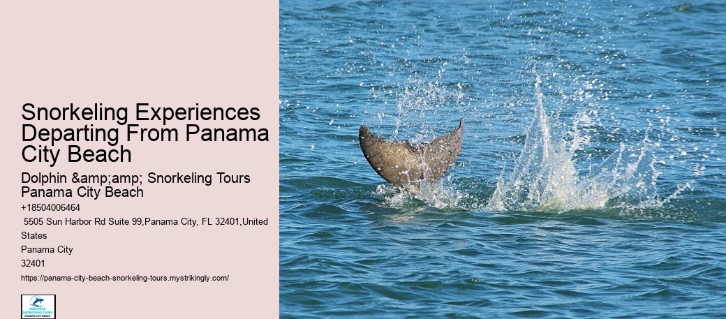 How Many Snorkeling Sites Are Visited During The Tour