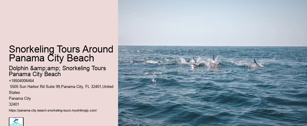 Snorkeling Tours Around Panama City Beach