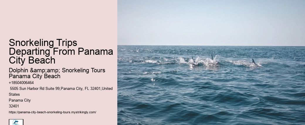 Panama City Beach Snorkeling