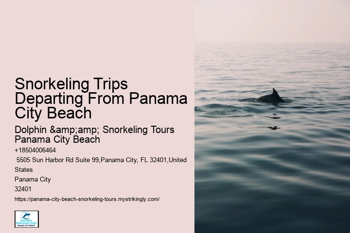 Panama City Beach Snorkeling Tours Xtr